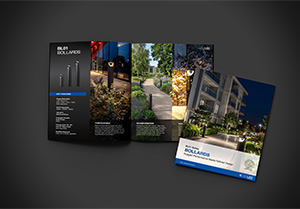 BL01 Sell Sheet (EN)