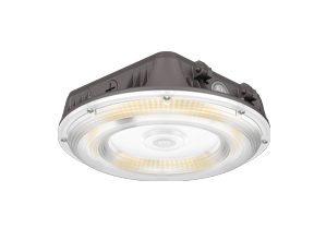 Marquee Canopy Light
