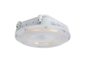 Marquee Canopy Light