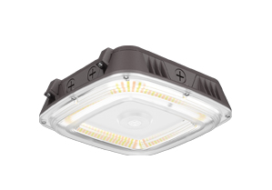 Marquee Canopy Light