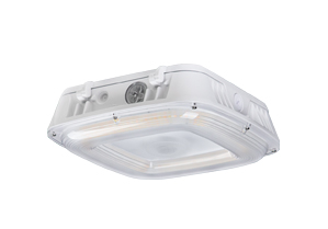 Marquee Canopy Light