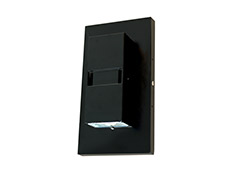 Decorative Wall Sconce (Engine)