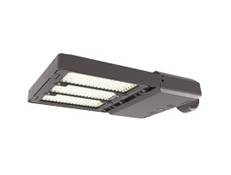 FLEX Series Area Light