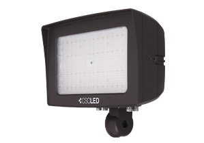 Fusion Flood Light