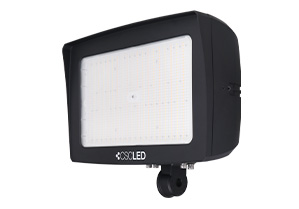 Fusion Flood Light