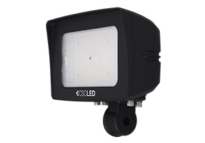 Fusion Flood Light