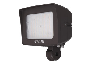Fusion Flood Light