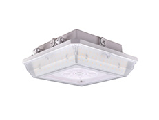 Garage Canopy Light