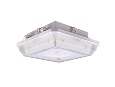 Garage Canopy Light