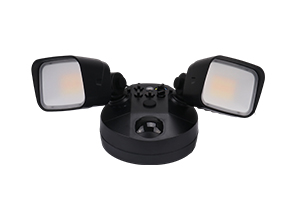 Security Light