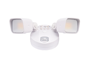 Security Light