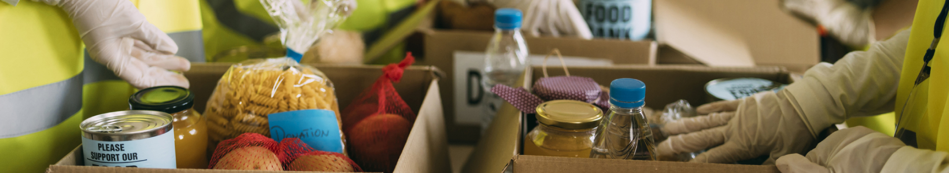 CSC LED Donates $5,000 to Food Banks — 6 Meaningful Ways You Can Give Back Too