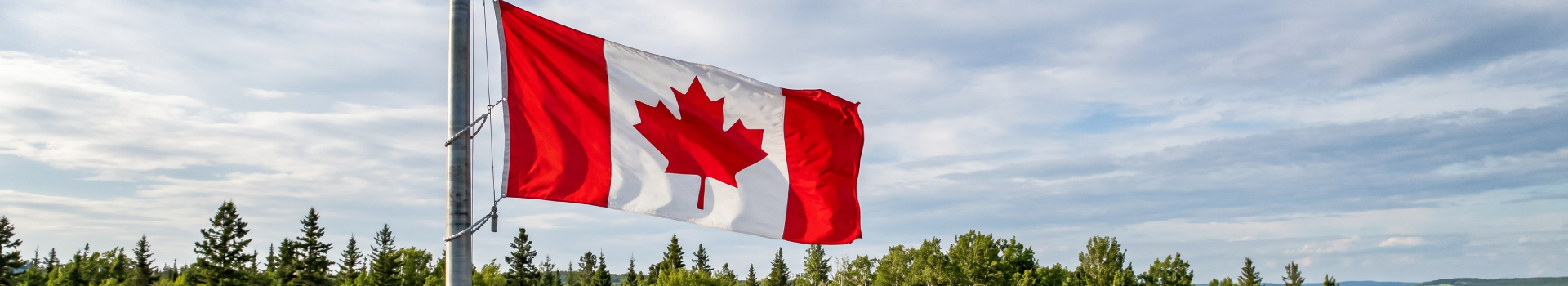 What Makes a Good LED Lighting Supplier in Canada?