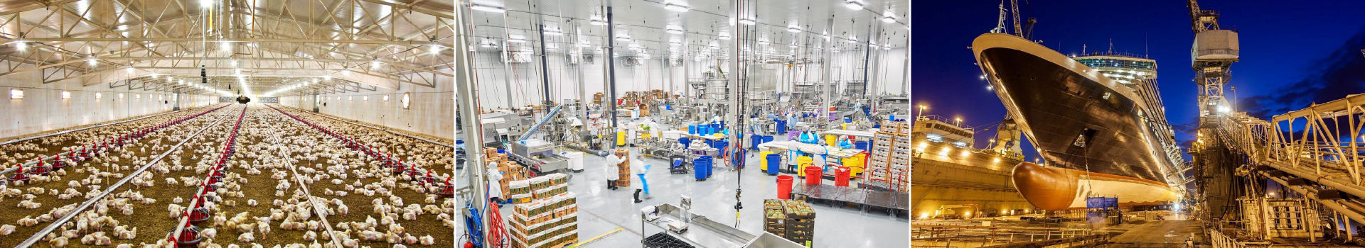 Tougher Than the Job Site: Choosing Lighting Built for Demanding Environments