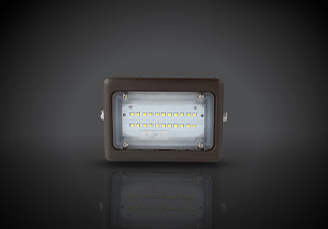 FLM